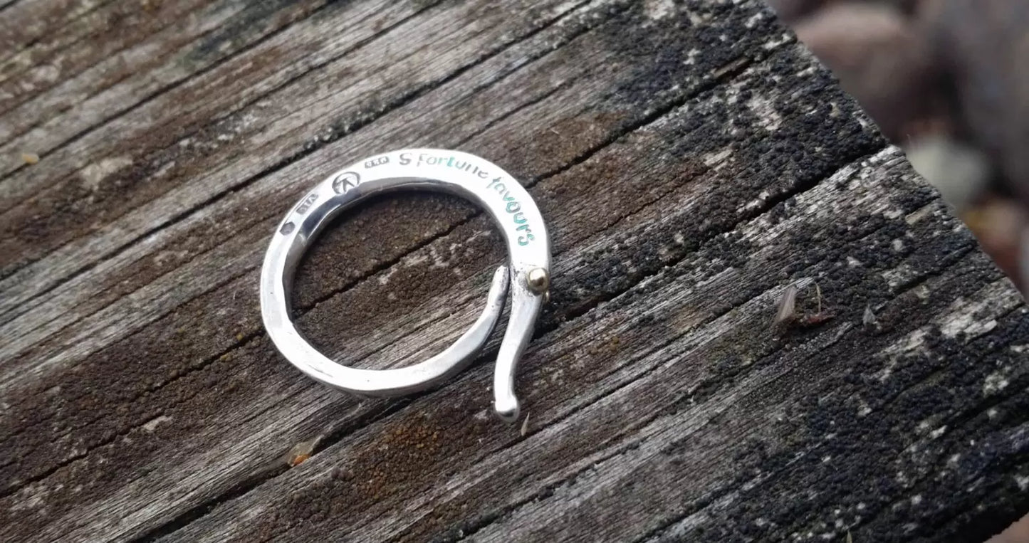 Följeslagaren Ring i återvunnet silver