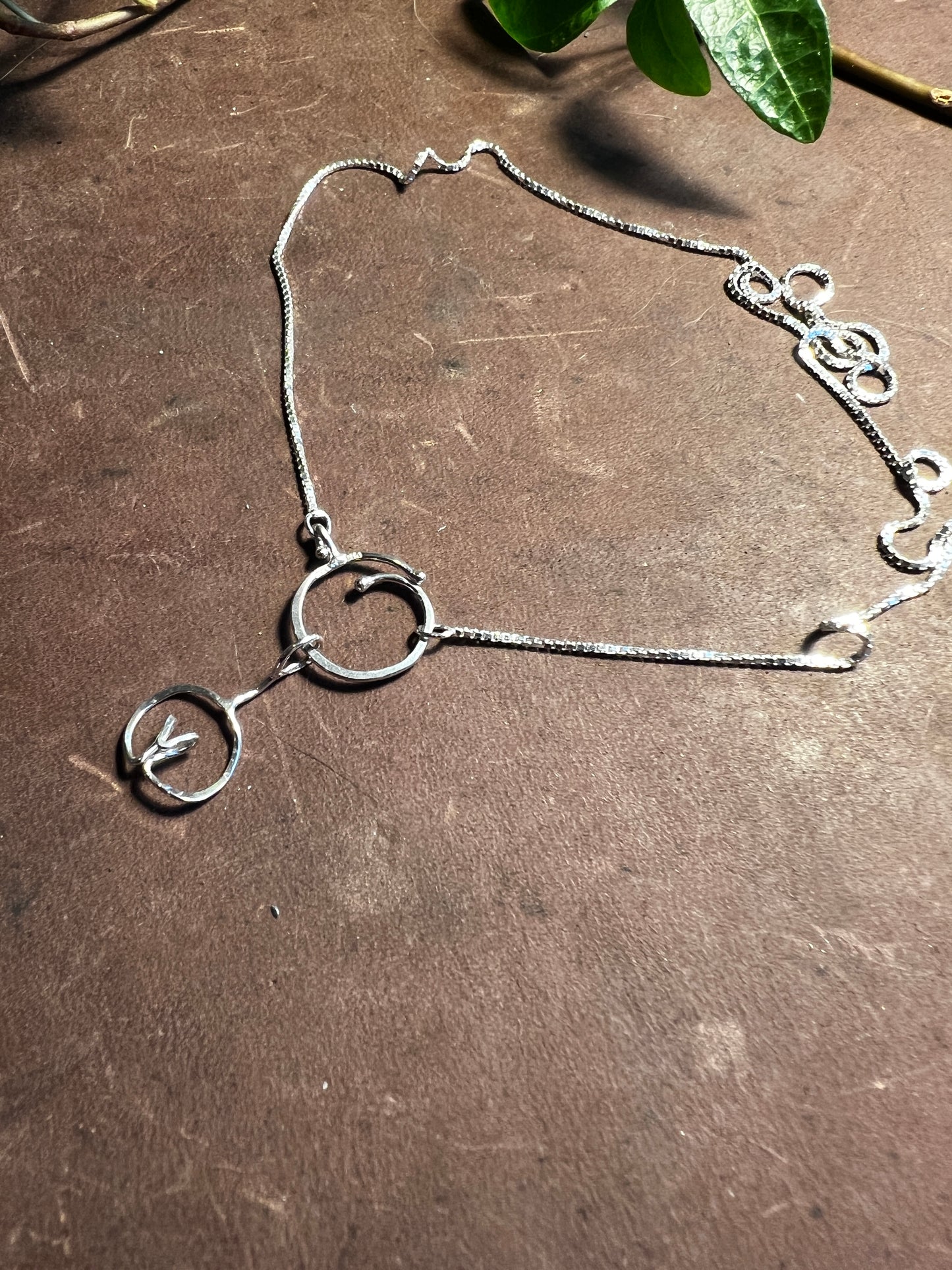 Månadsblomman Januari