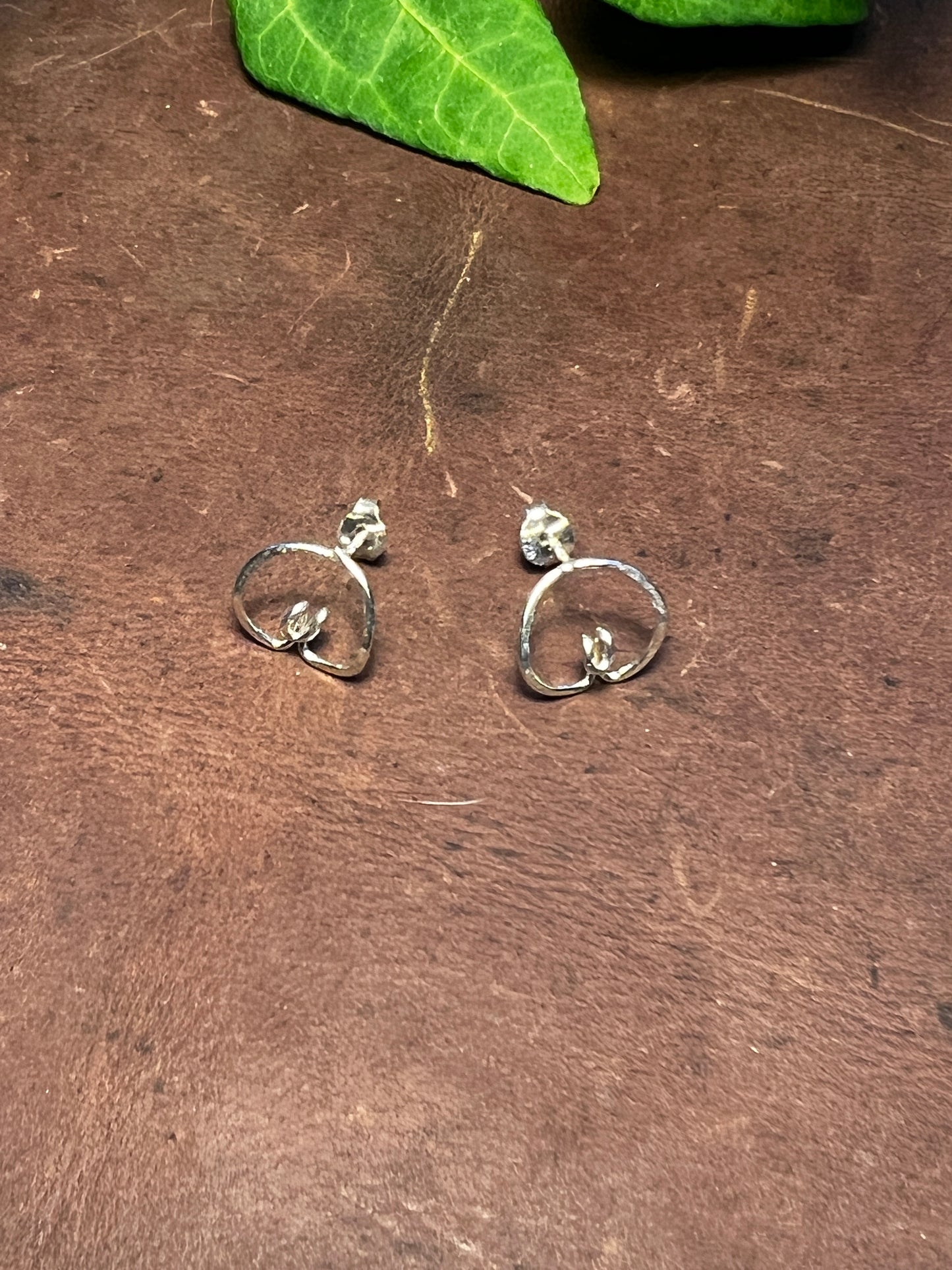 Månadsblommorna Örhängen Stift