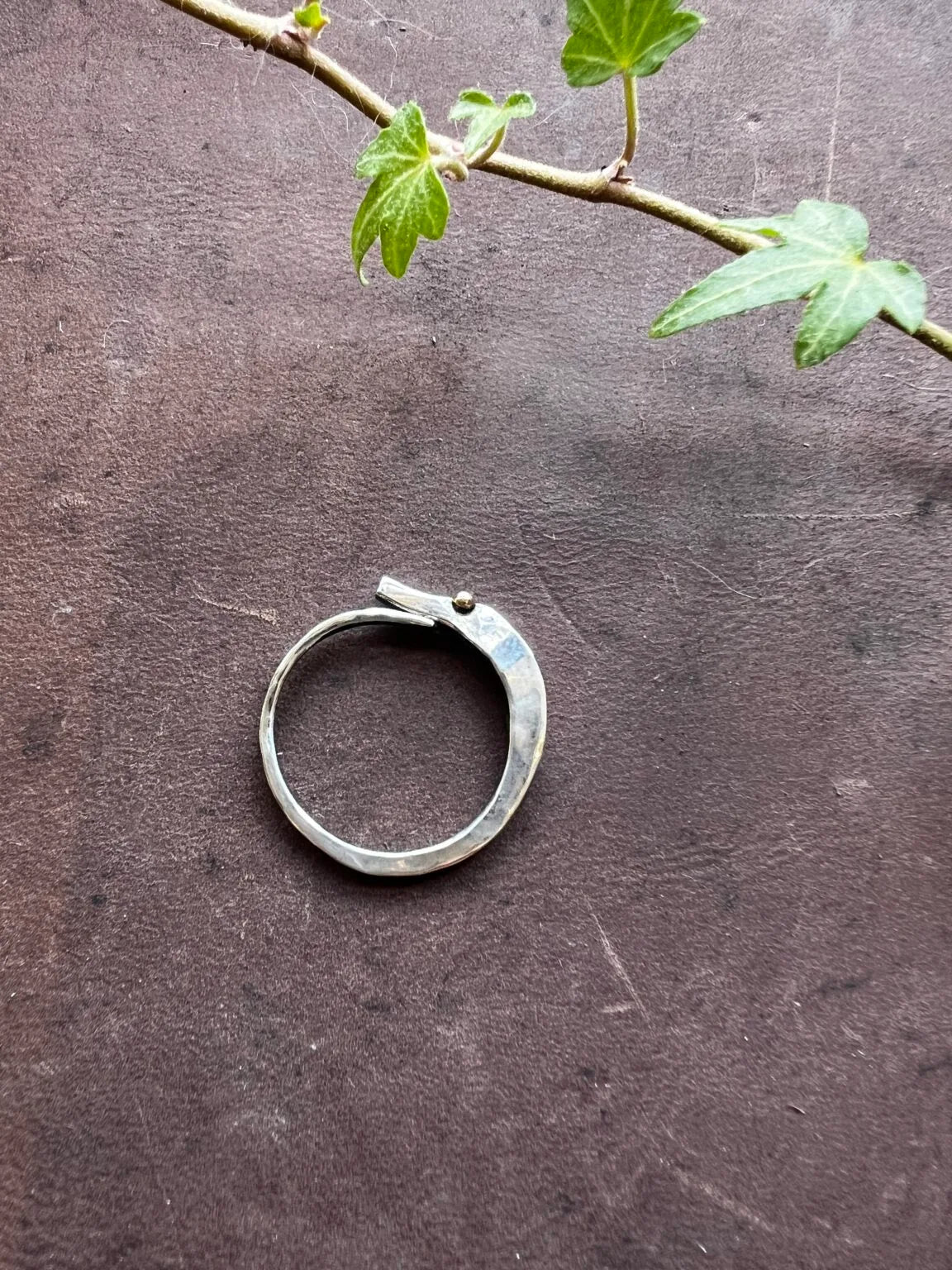 Följeslagaren ring silver med 18k guldögon kort nos