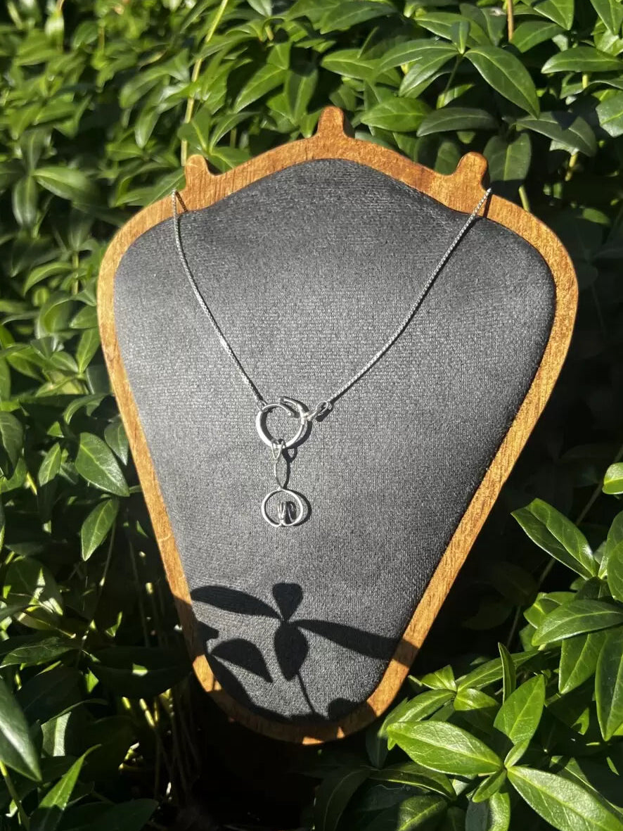 Januariblomman på byst i sol