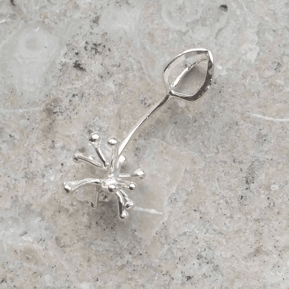 Månadsblomman November